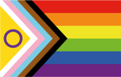 Progress Pride Flag LGBTQIA+