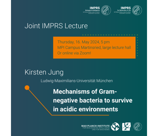 Mechanisms of Gram-negative bacteria to survive in acidic environments