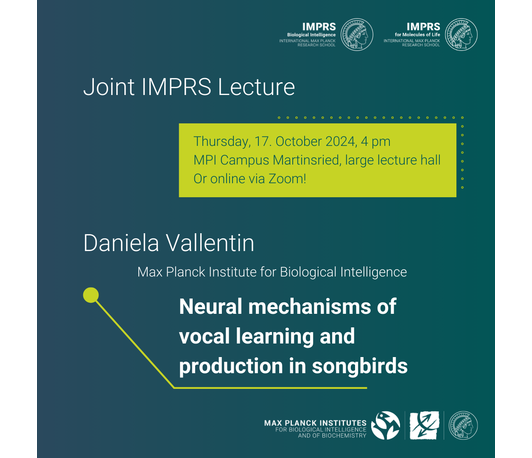 Neural mechanisms of vocal learning and production in songbirds