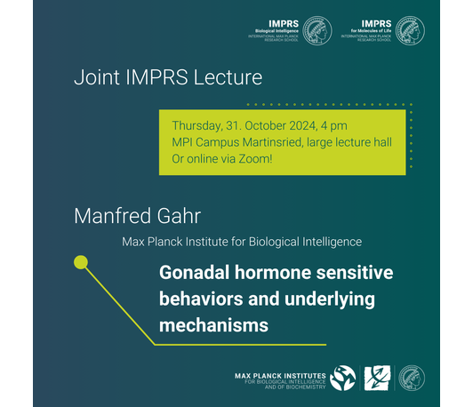 Gonadal hormone sensitive behaviors and underlying mechanisms