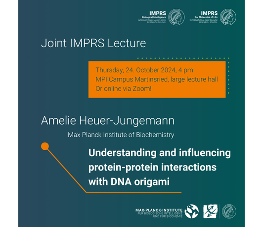 Understanding and influencing protein-protein interactions with DNA origami